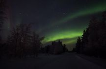 Northern lights hunting with car