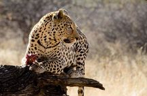 Taste of Namibia Safari - 8 Days