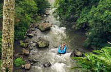Ubud White Water Rafting with Waterfall and Lunch