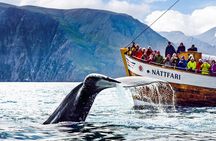 Traditional Oak Ship Whale Watching Tour From Husavik