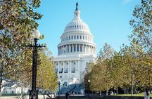 Arlington Cemetery and DC Highlights Tour