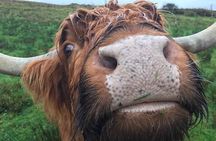 Multi Day Private Tour Of Scotland
