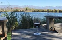 Private Tours in Cape Town