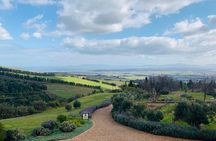 Private Tours in Cape Town