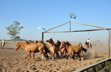 Gaucho Fiesta with lunch - full day tour