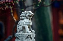Beijing Half Day Walking Tour-Tiananmen Square and Forbidden City