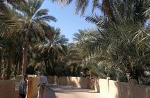 Private Al Ain 8 Hours Tour From Dubai With Professional Driver
