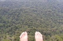 Sinharaja RainForest Private Full Day Tour
