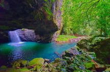 Kangaroos, Rainforest & Waterfalls Experience - Small Group