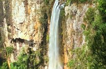Kangaroos, Rainforest & Waterfalls Experience - Small Group