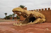 Effortless Agadir Crocoparc Ticket and Transfer Service