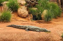 Effortless Agadir Crocoparc Ticket and Transfer Service