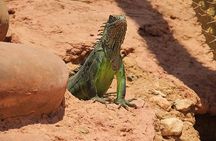 Effortless Agadir Crocoparc Ticket and Transfer Service
