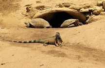 Effortless Agadir Crocoparc Ticket and Transfer Service
