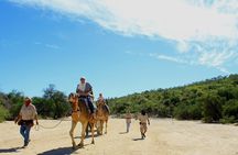 Camel Ride in the Canyon + Thrilling Water-Slides & Snacks