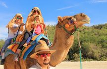 Camel Ride in the Canyon + Thrilling Water-Slides & Snacks