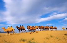 Agadir Souss Massa Park National Visit