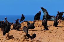 Agadir Souss Massa Park National Visit