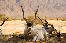 Agadir Souss Massa Park National Visit