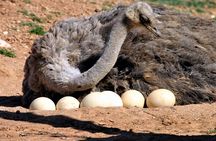 Agadir Souss Massa Park National Visit