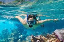 Koh Tao & Koh Nangyuan Snorkeling Tour by Speedboat from Ko Samui