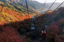 Mutianyu Great Wall Private Layover Tour with English Driver