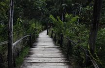 garden of the sleeping giant and mudpool tour combo