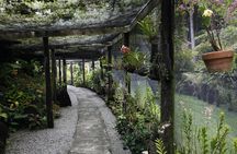 garden of the sleeping giant and mudpool tour combo