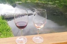 Cape Winelands Tour