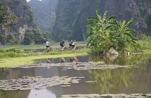 Ninh Binh & Cuc Phuong National Park 2 Days Tour