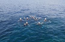 Coasteering Mallorca