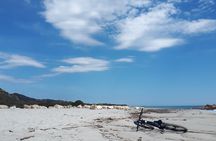 From the hills to Oasi Biderosa & Capo Comino with Electric Mountain Bikes