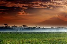 Indonesia Escape (Yogyakarta)