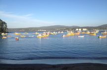 Tour around the Coast Towns in Tomé & Dichato