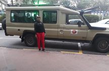 4-Day Best Maasai Mara & Lake Nakuru Safari (ECONOMY)