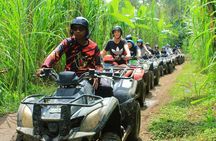 Bali Quad bike ATV passing through Waterfall, Cave & Rice fields
