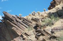 Indian Canyons Hiking Tour by Jeep from Palm Springs