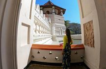 Temple of the Tooth & Royal Botanical Gardens Tour