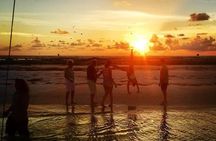 Anna Maria Island Dolphin Sunset Boat Tour