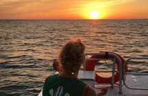 Anna Maria Island Dolphin Sunset Boat Tour