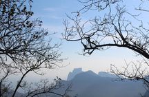 Private Tour - Explore Tijuca Forest & Christ the Reedemer by Carioca Experience