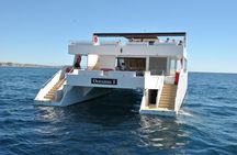 Los Cabos Reef Snorkeling Cruise with Lunch and Open Bar