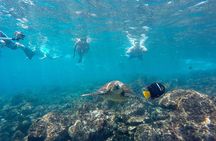 Full Day Tour Pinzon Island + La Fe/Las Palmas - Snorkeling & Fishing