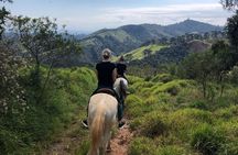 Exclusive Horse Experience with Pic-nic at Belvedere
