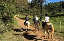 Exclusive Horse Experience with Pic-nic at Belvedere