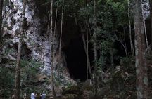 Full-Day Mountain Pine Ridge Tour from San Ignacio with Lunch