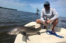 Everglades Fishing