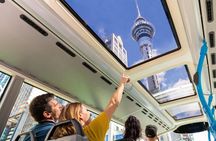 Auckland Explorer: Sightseeing Hop-on Hop-off Tour 