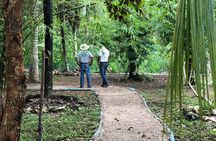 Cozumel Farm To Table Experience!!!