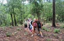 2D1N Mae Wang National Park Jungle Trekking Adventure from Chiang Mai